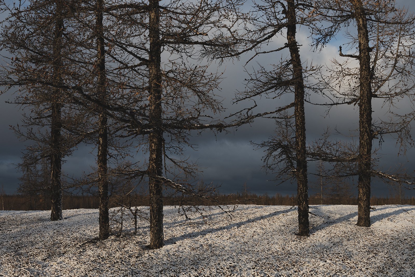 природа, зима, снег, Андрей Снегирёв