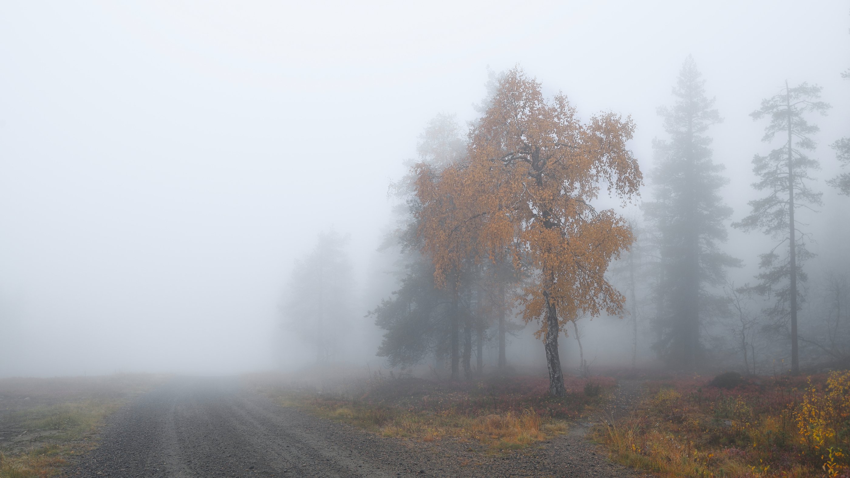 , Эдуард Горобец