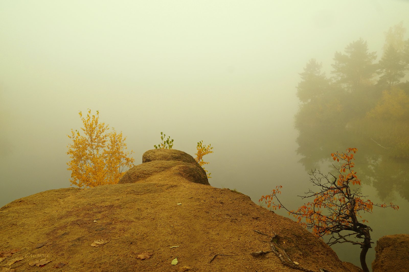 пейзаж,туман,октябрь,лес, Инаида