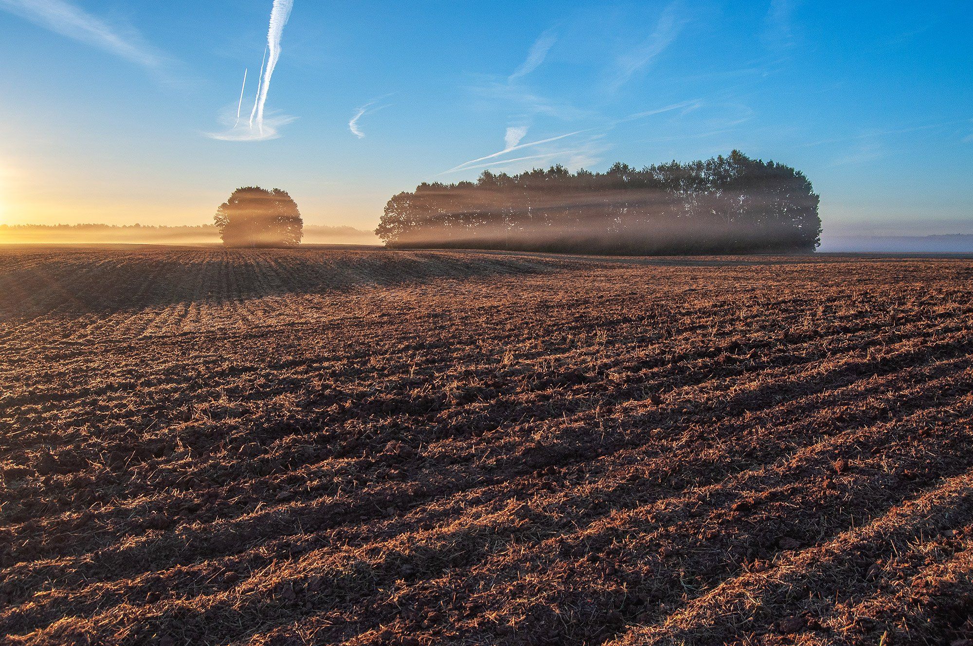 утро, рассвет, поле, солнце, туман, рассвет, Andres Ganenkoff