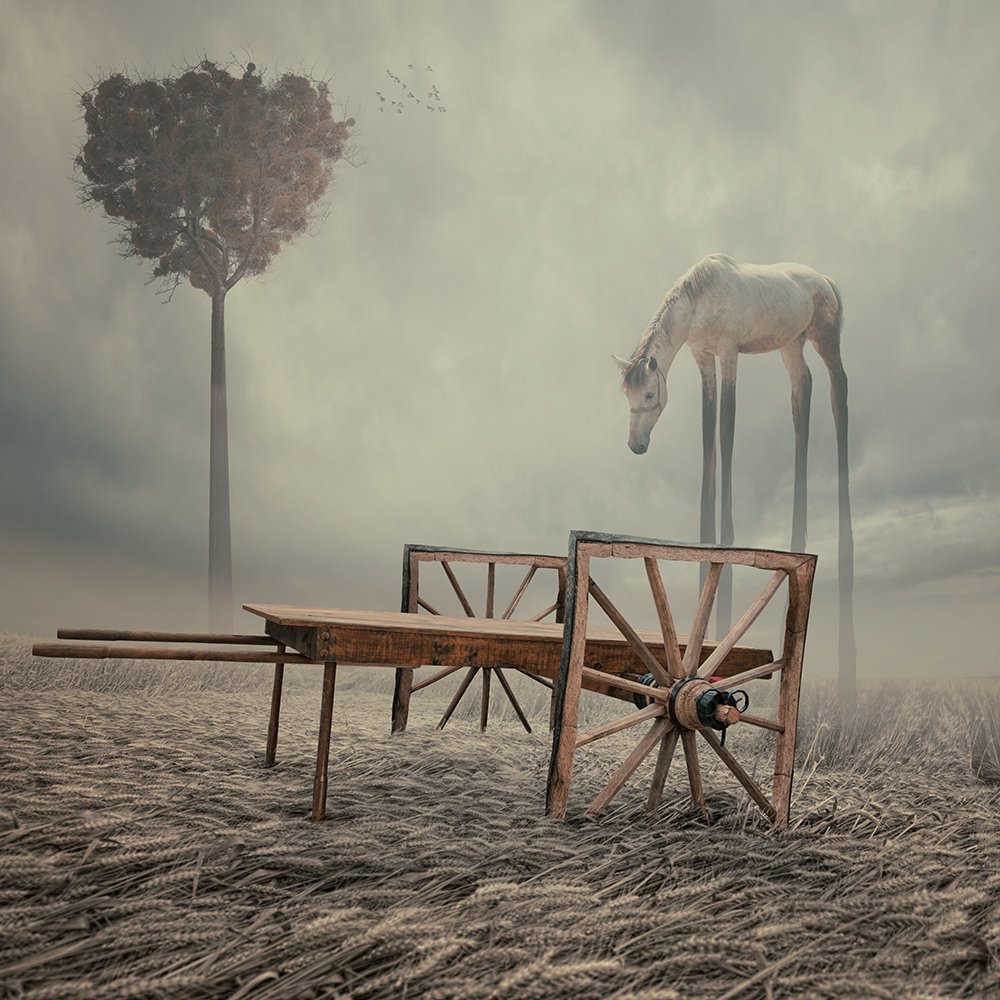 tree, square, cart, ground, grain, clouds, photoshop, manipulation, toned, tutorials, psd, horse, long, legs, Caras Ionut