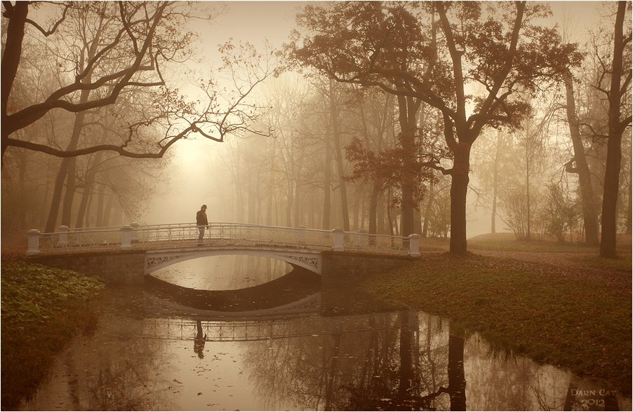 питер, парк, туман, прохожий, человек,  мост, Darn Cat