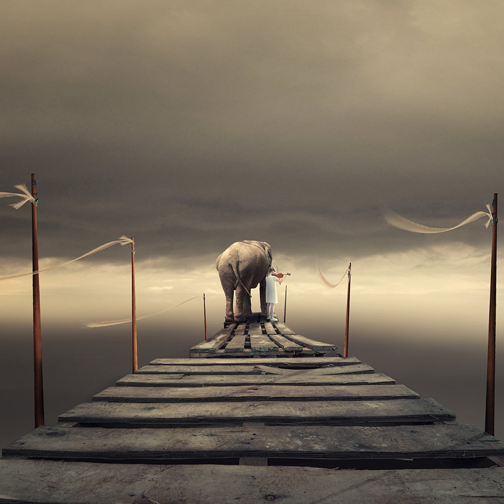 wheel, spinner, elephant, ground, sky, light, reflection, corn, manipulation, tutorials, psd, clouds, mounting, playing, girl, violin, plates, wood, Caras Ionut