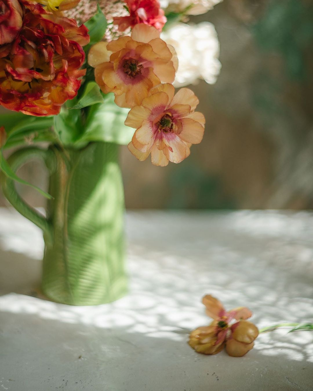букет, цветы, оранжевый, зеленый, свет, Анастасия Зубкова