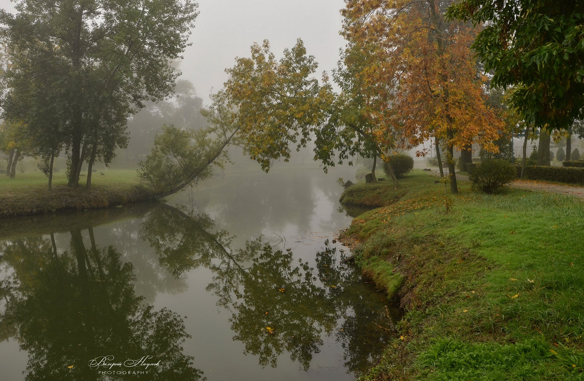 осень, октябрь, туман, парк, листва. отраженя, Валерий Наумов