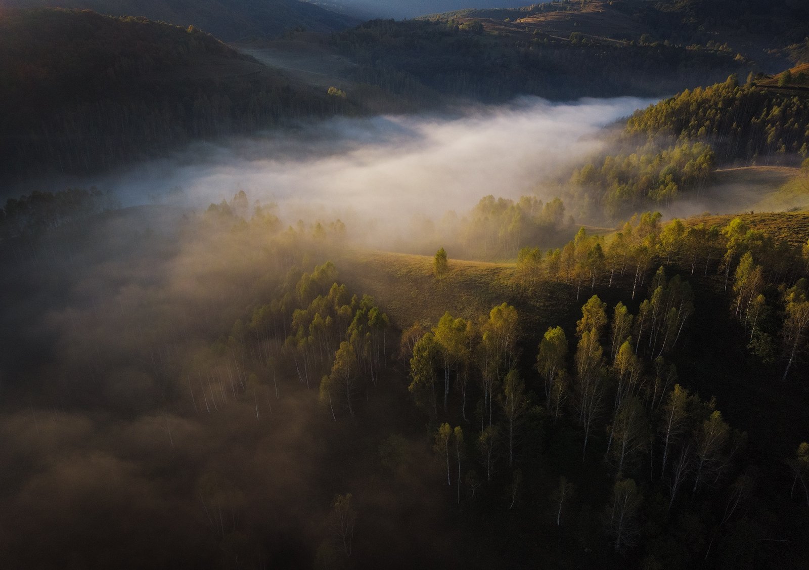 mountains, romania, autumn, sunrise, landscape, nature, travel, trees, fog, misty, light, Lazar Ioan Ovidiu