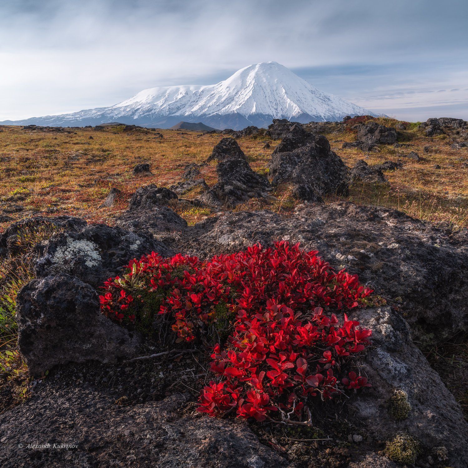 камчатка,толбачик,тутдра,пейзаж, Александр Кукринов