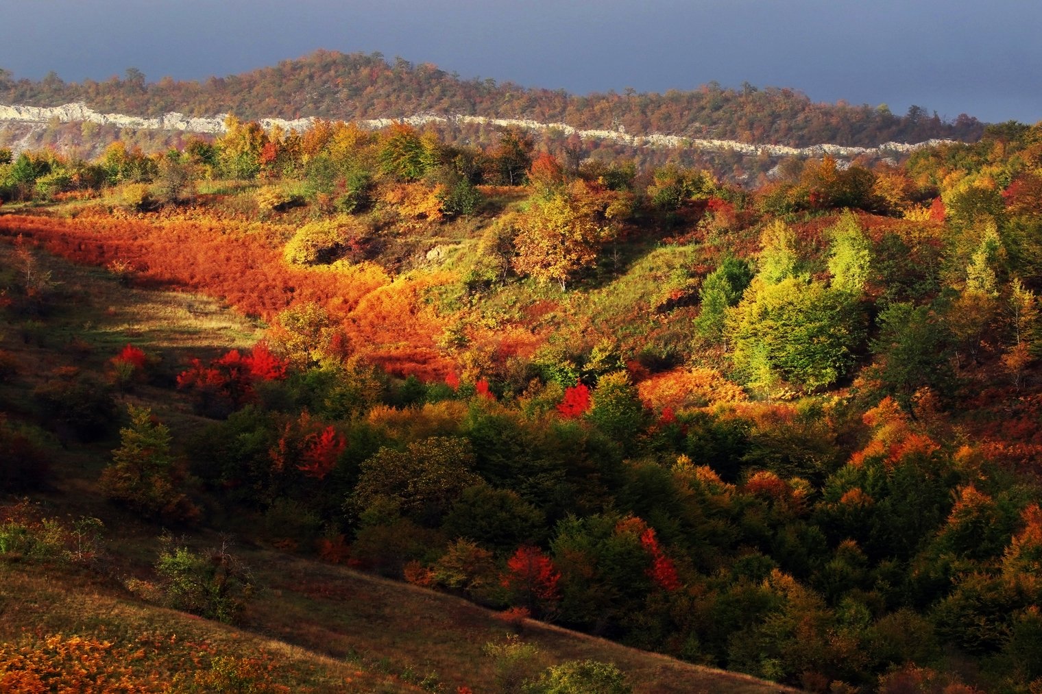 осень,пейзаж,горы,лес,природа,дагестан,кайтаг,, Marat Magov
