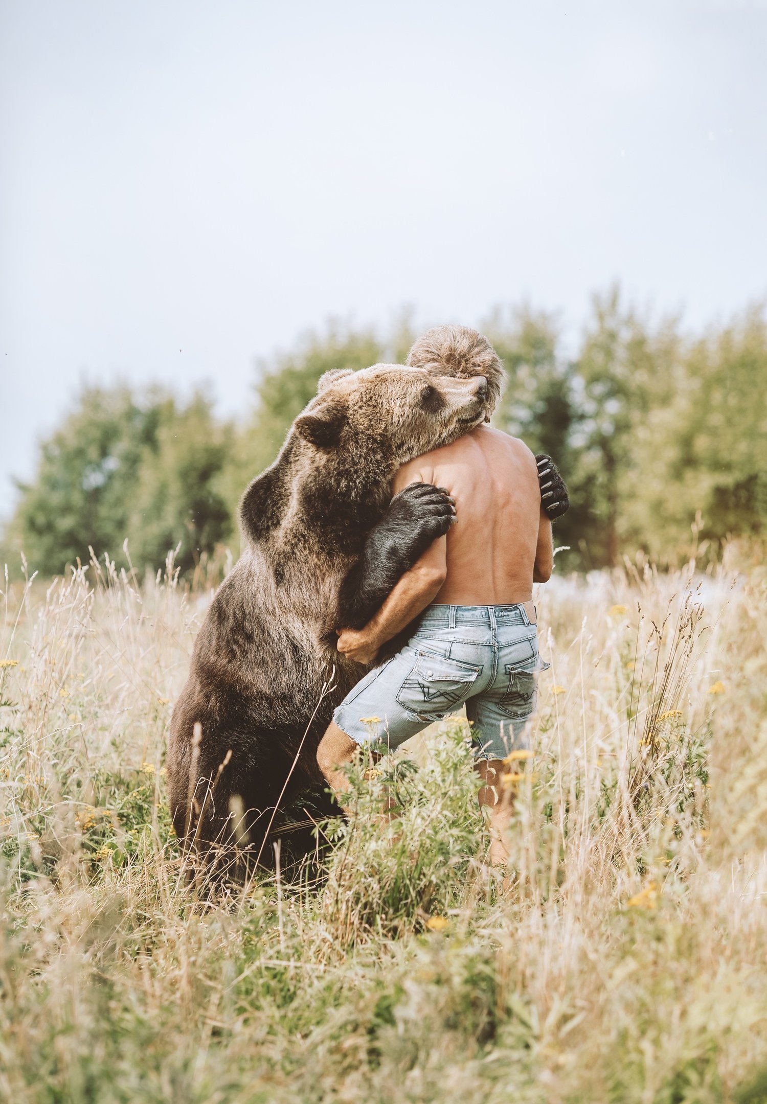 медведь, природа, хищник, зверь, животное, мужчина, объятия, дружба, отношения, любовь, bear, animal, wild, Anna Yarkova