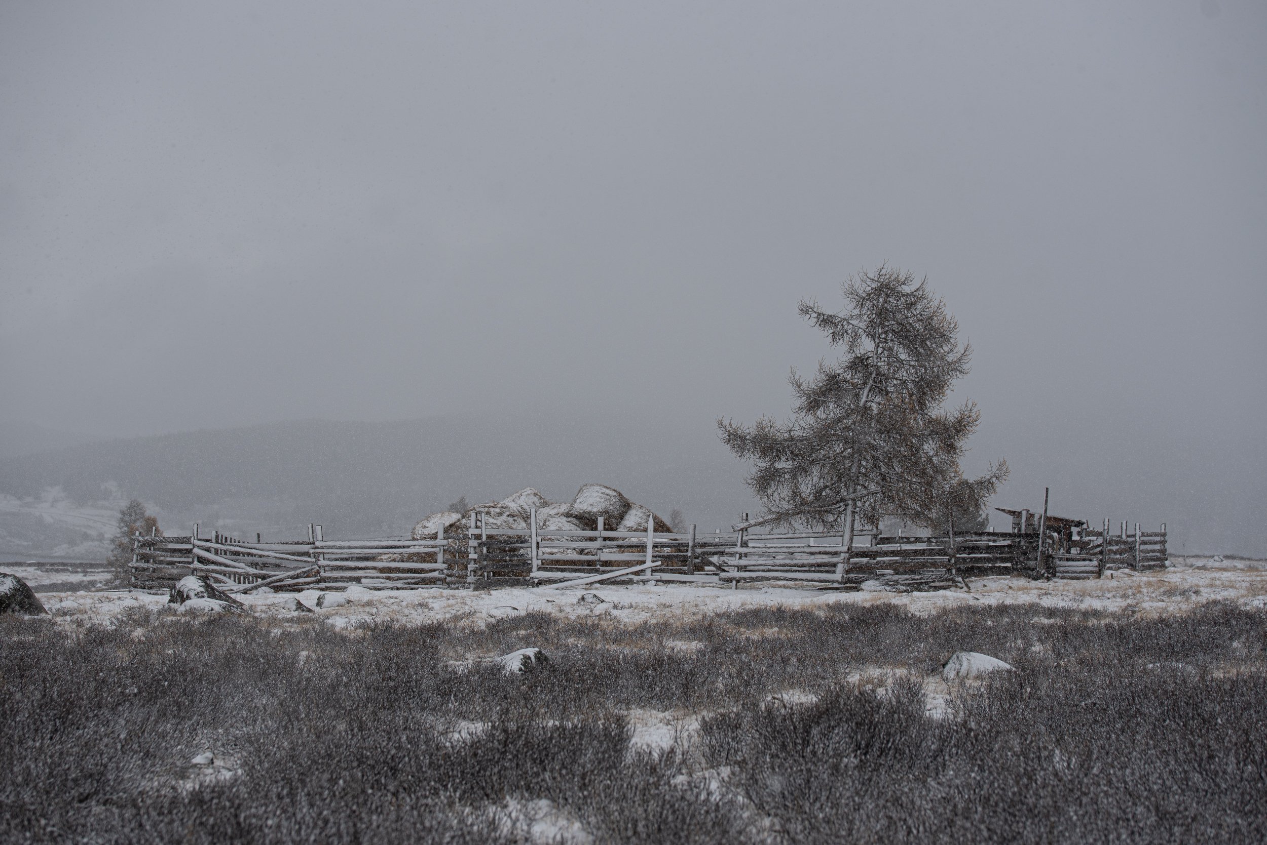 winter, landscape, Aleksei Kurlov