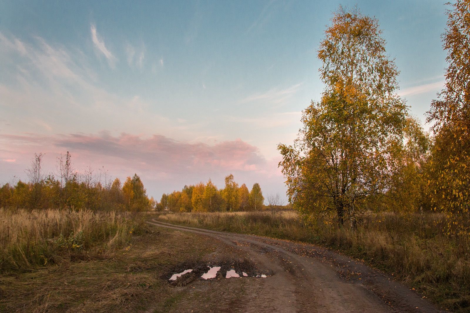 , Александр