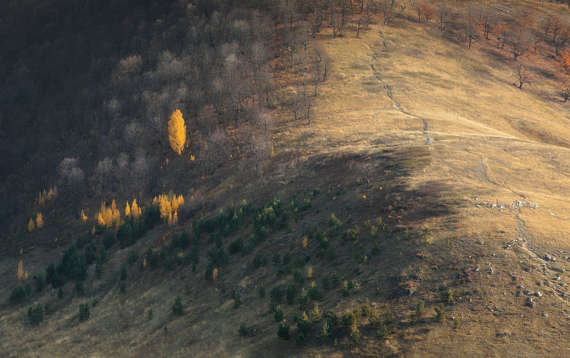 #autumn #landscape #samara #самара #пейзаж #осень, Игорь Филимонов