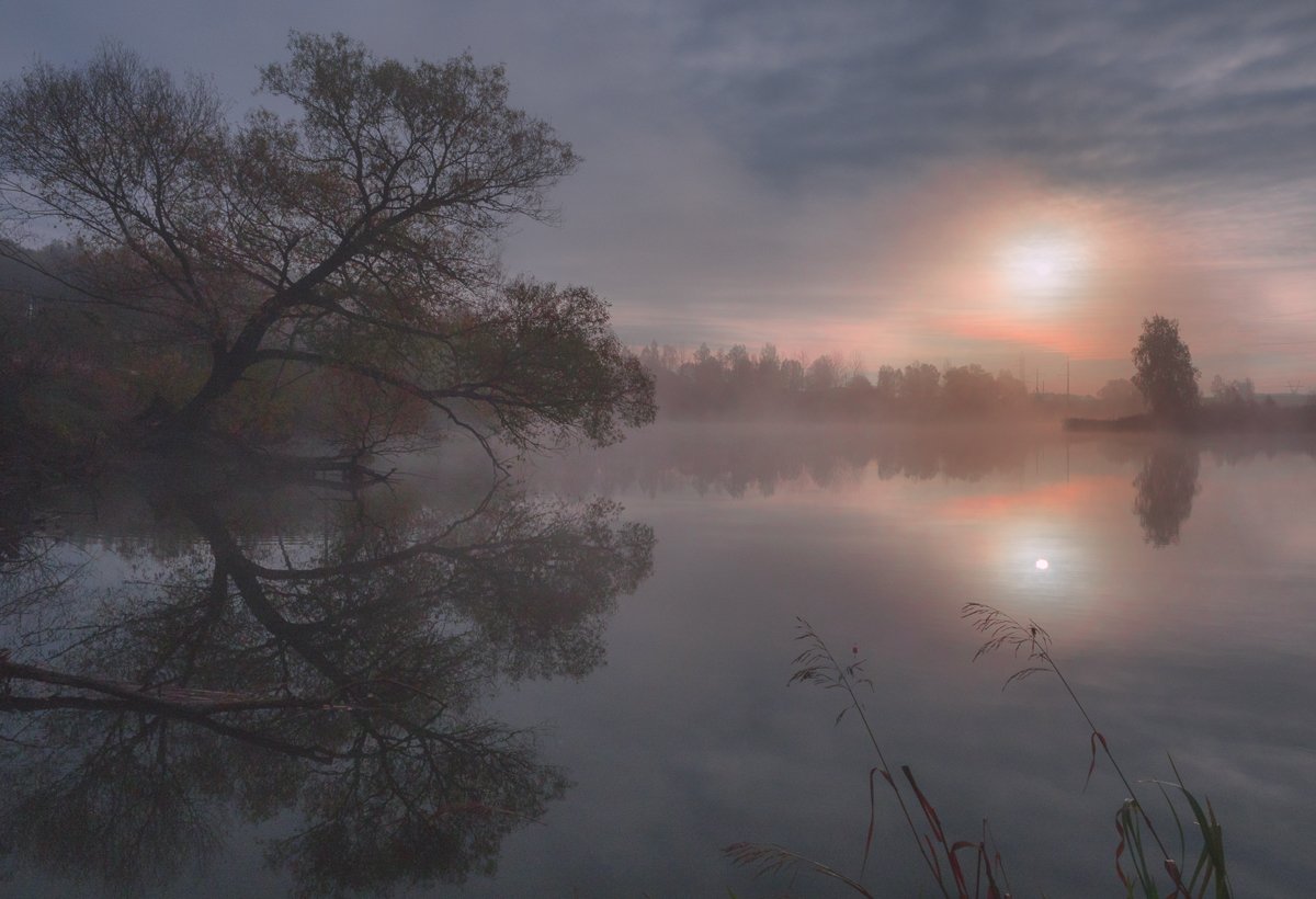 лес, свет, утро, природа, Баранов Олег