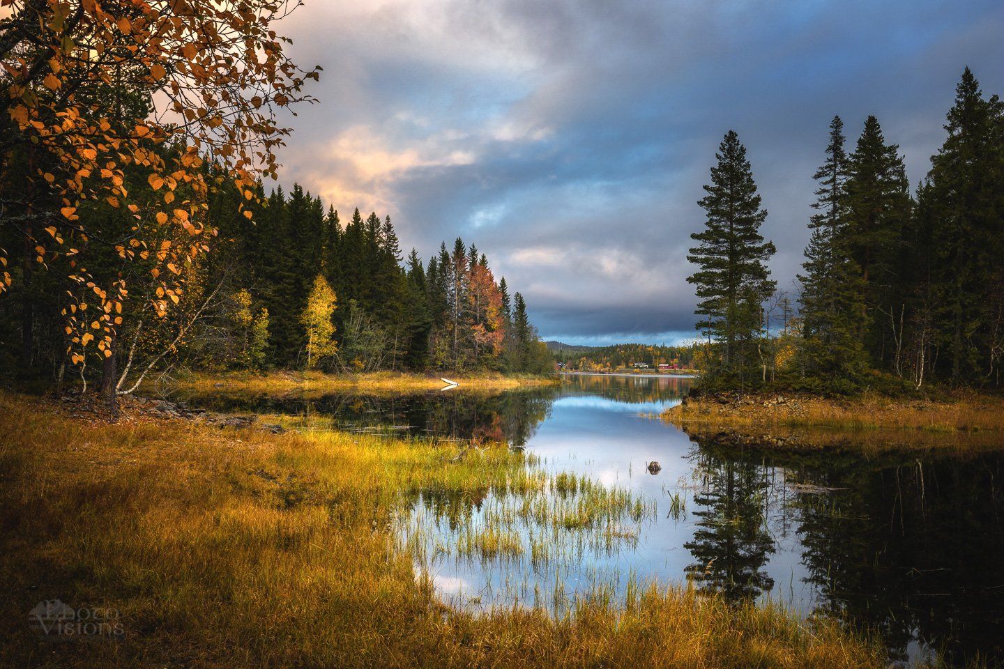 norway,autumn,autumnal,lakeside,lake,forest,boreal,scandinavia,, Adrian Szatewicz