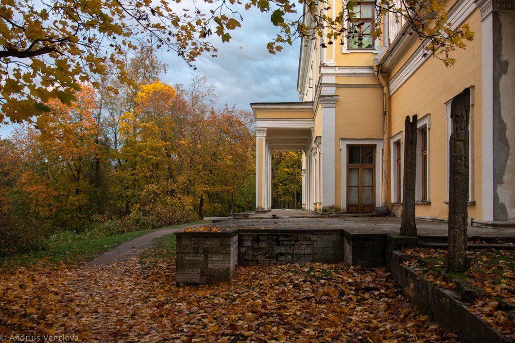 autumn, peterhof, sergievka, Андрюс