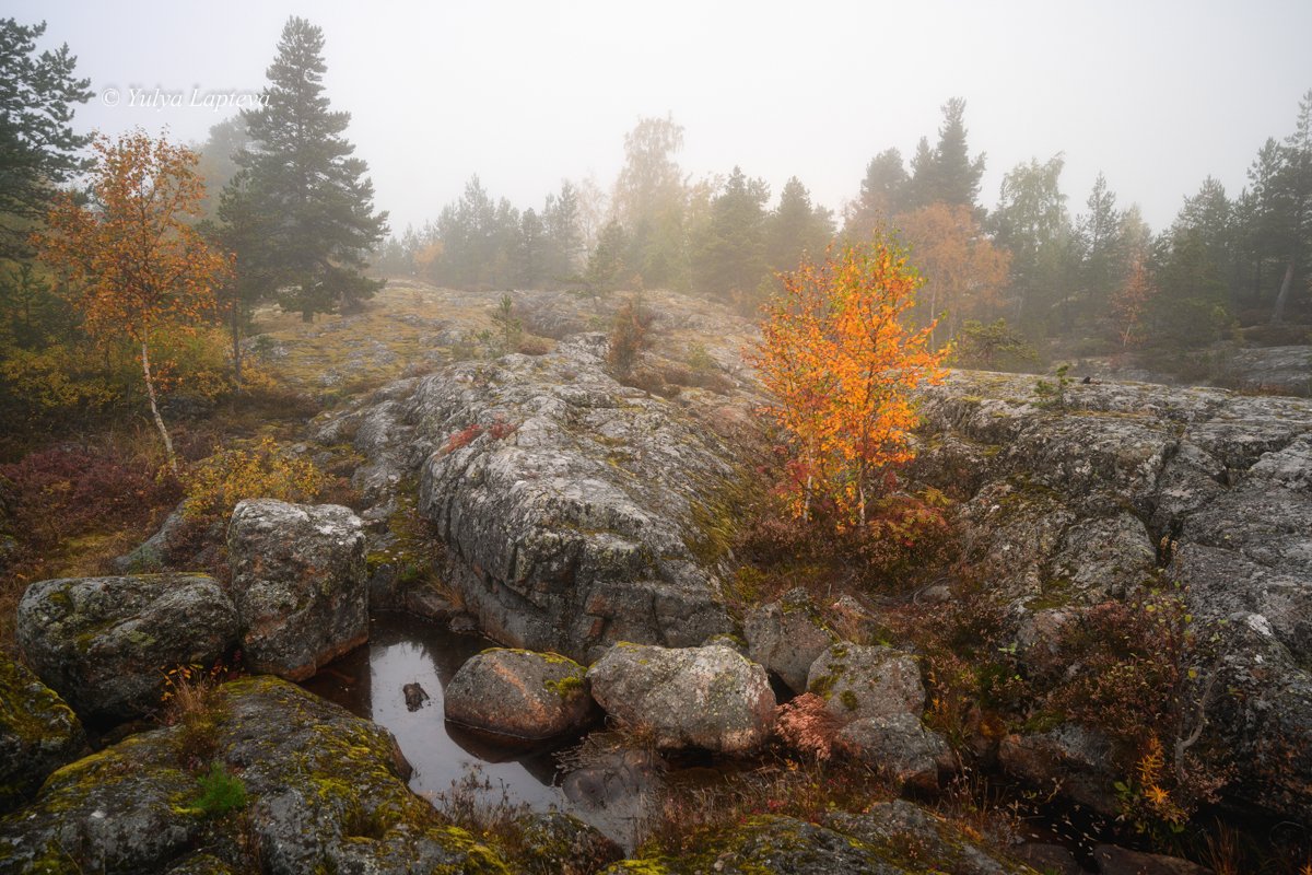 карелия, мыс куркиниеми, Юлия Лаптева