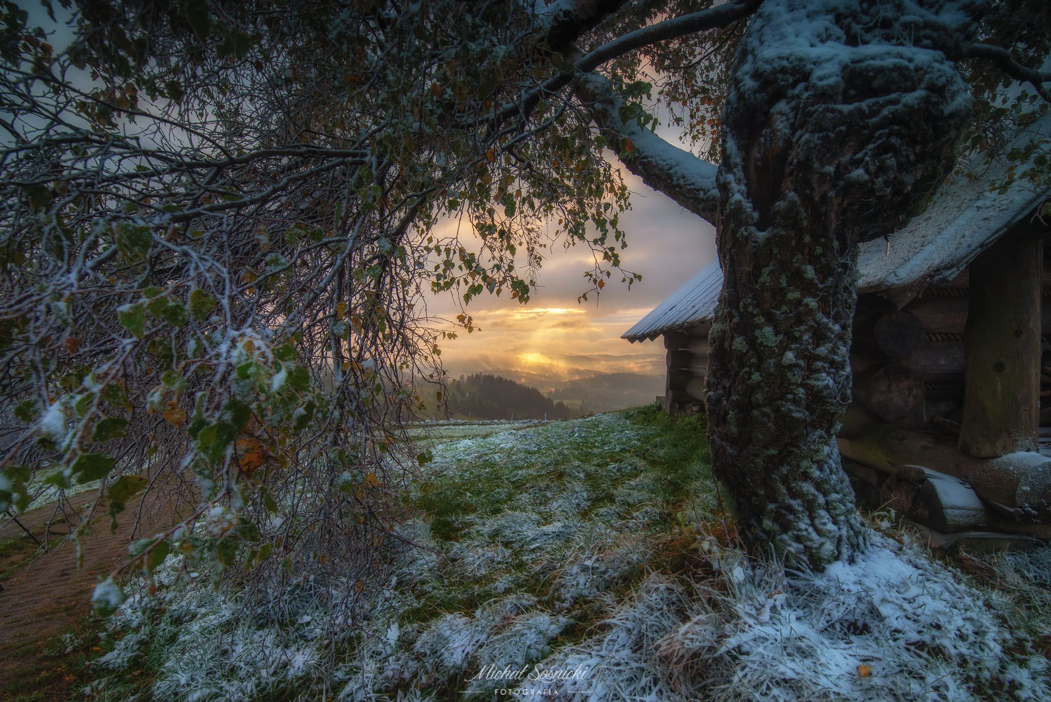#tree #sunrise #home #autumn #snow #poland #benro #pentax #like, Michał Sośnicki