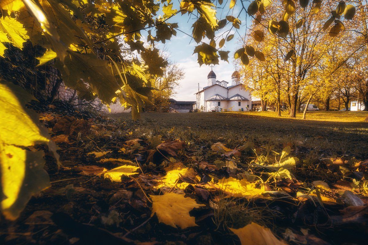 осень, псков, золотая осень, церковь, Майя Афзаал