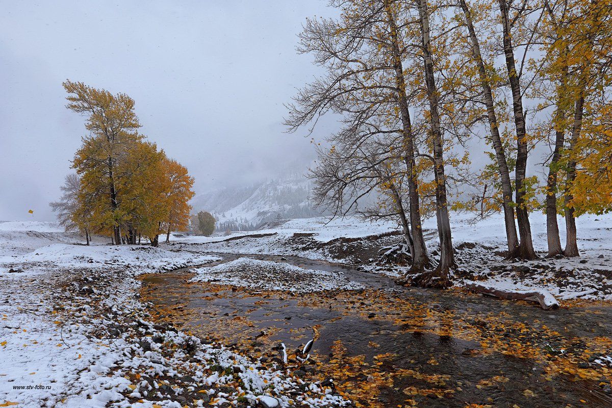 природа, пейзаж, горы, осень, снег, метель, река, Sokolova Tatiana
