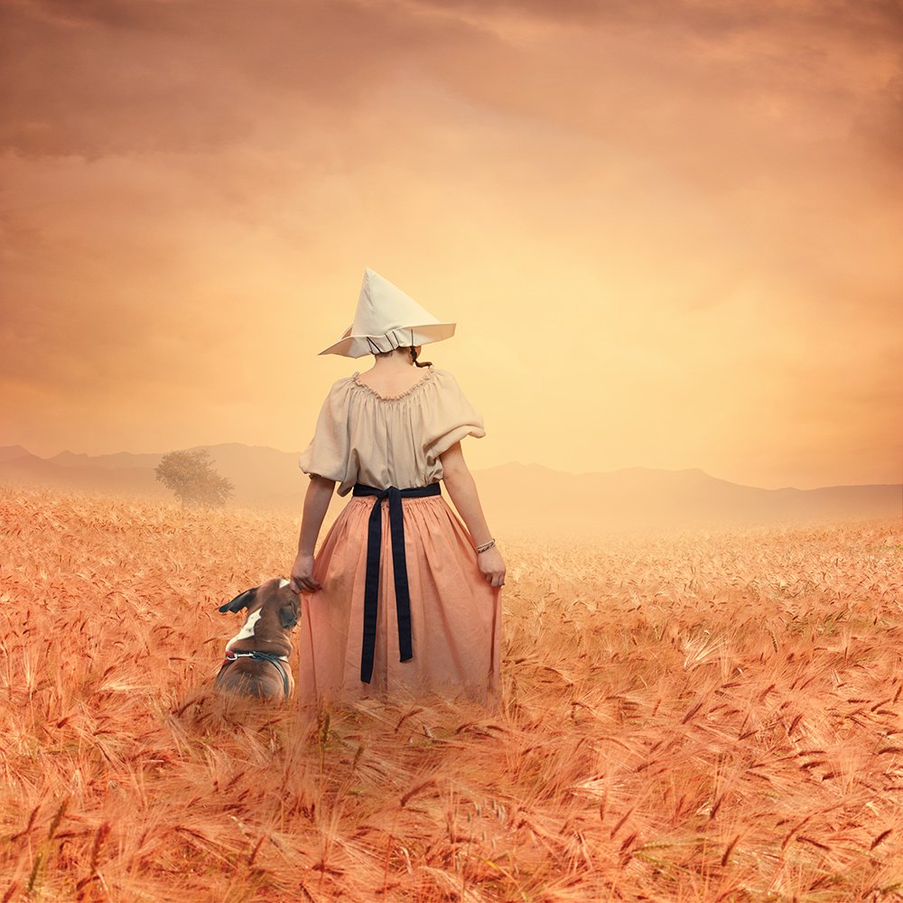 gilr, miller, walking, dog, wheat, field, photoshop, manipulation, psd, tutorials, clouds, mounting, tree, light, strong, yellow, harmony, Caras Ionut