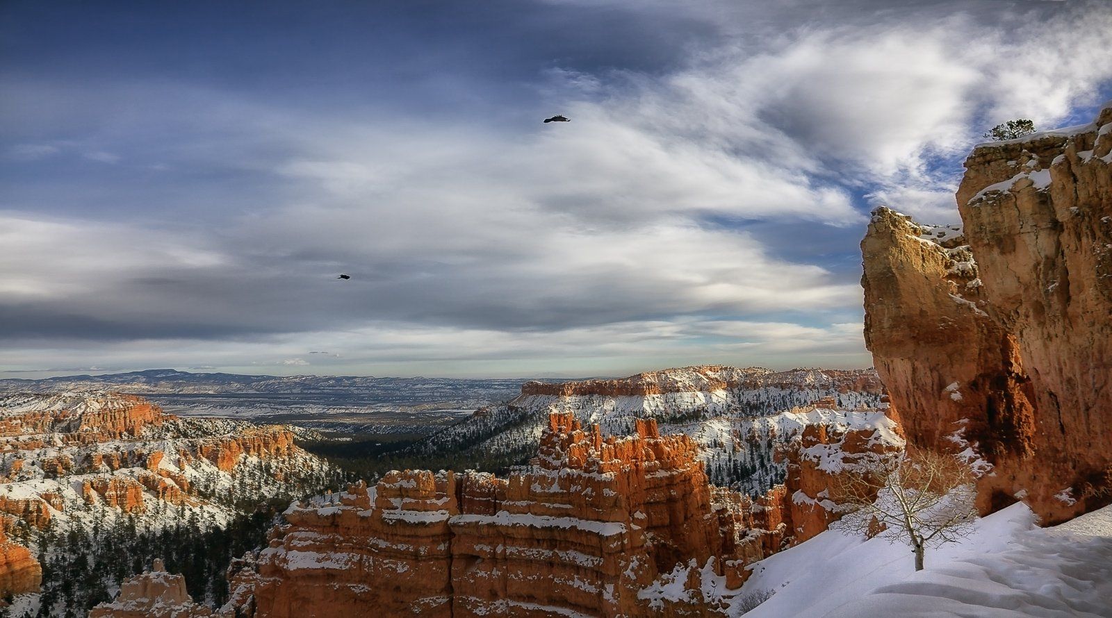 mc, usa, winter, bryce, М.