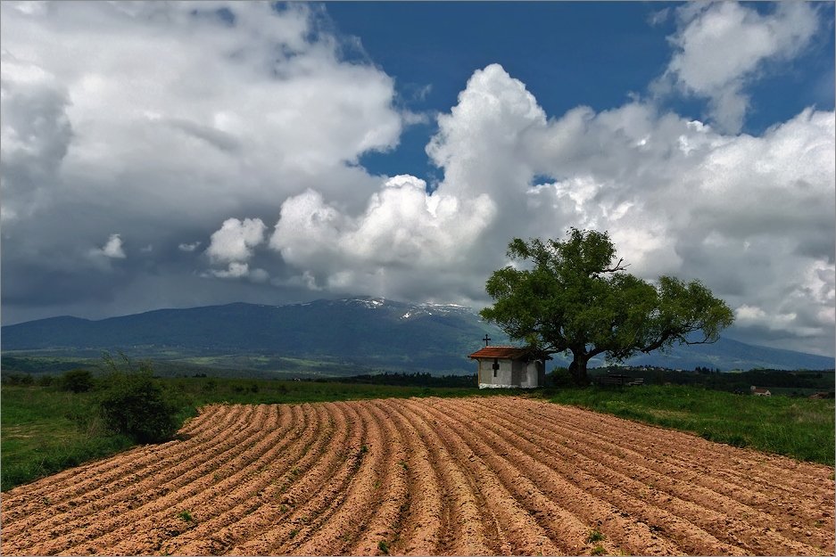 bulgaria, Svetoslav