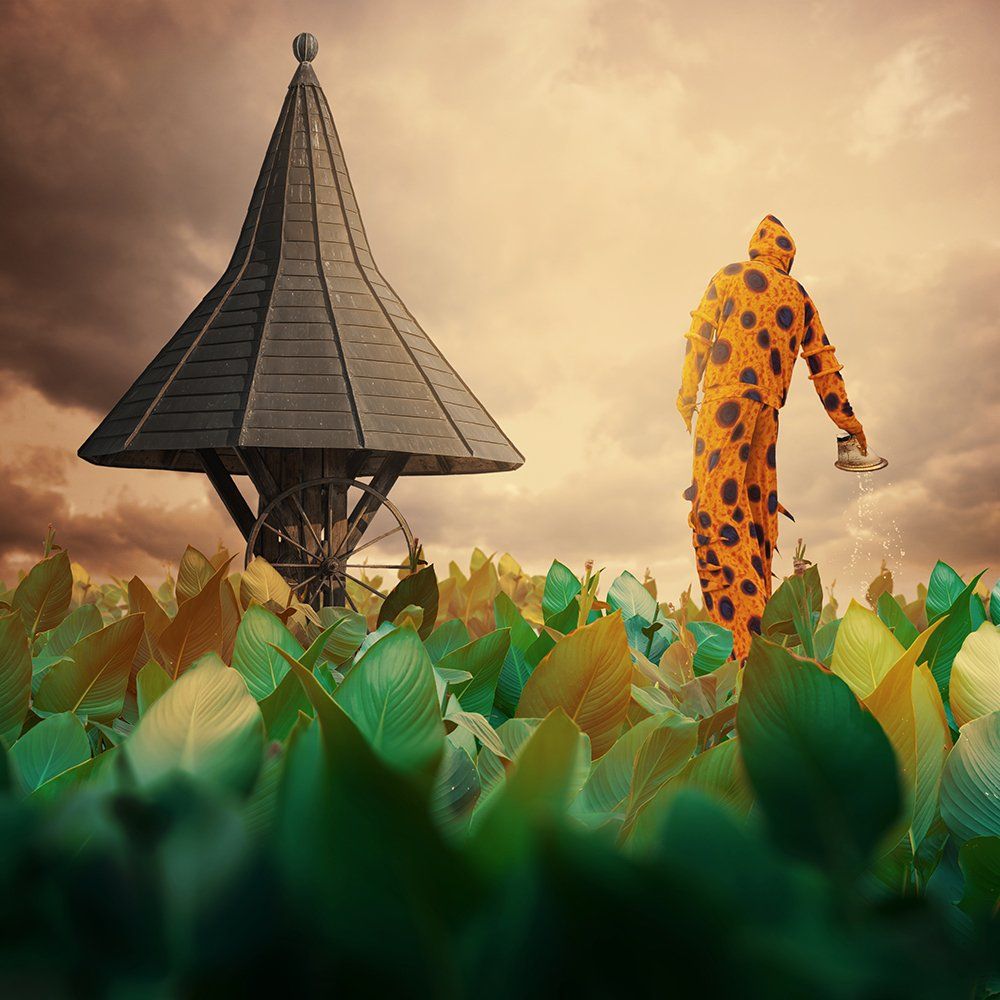 leaf, man, clown, psd, tutorials, manipulation, leaf, green, orange, yellow, fountain, roof, water, sky, clouds, light,, Caras Ionut