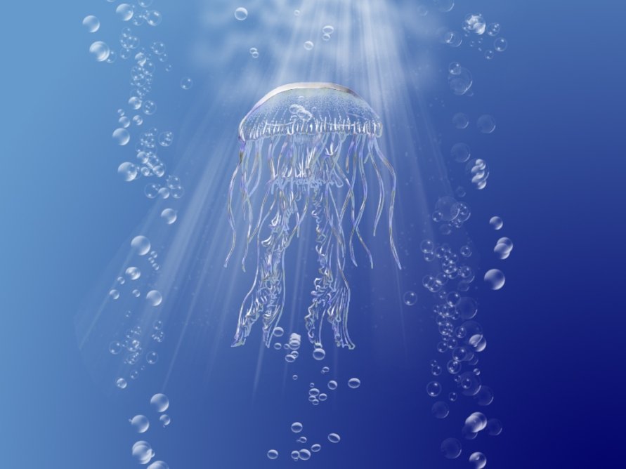 медуза, океан, свет, Maria V. Gorskaya