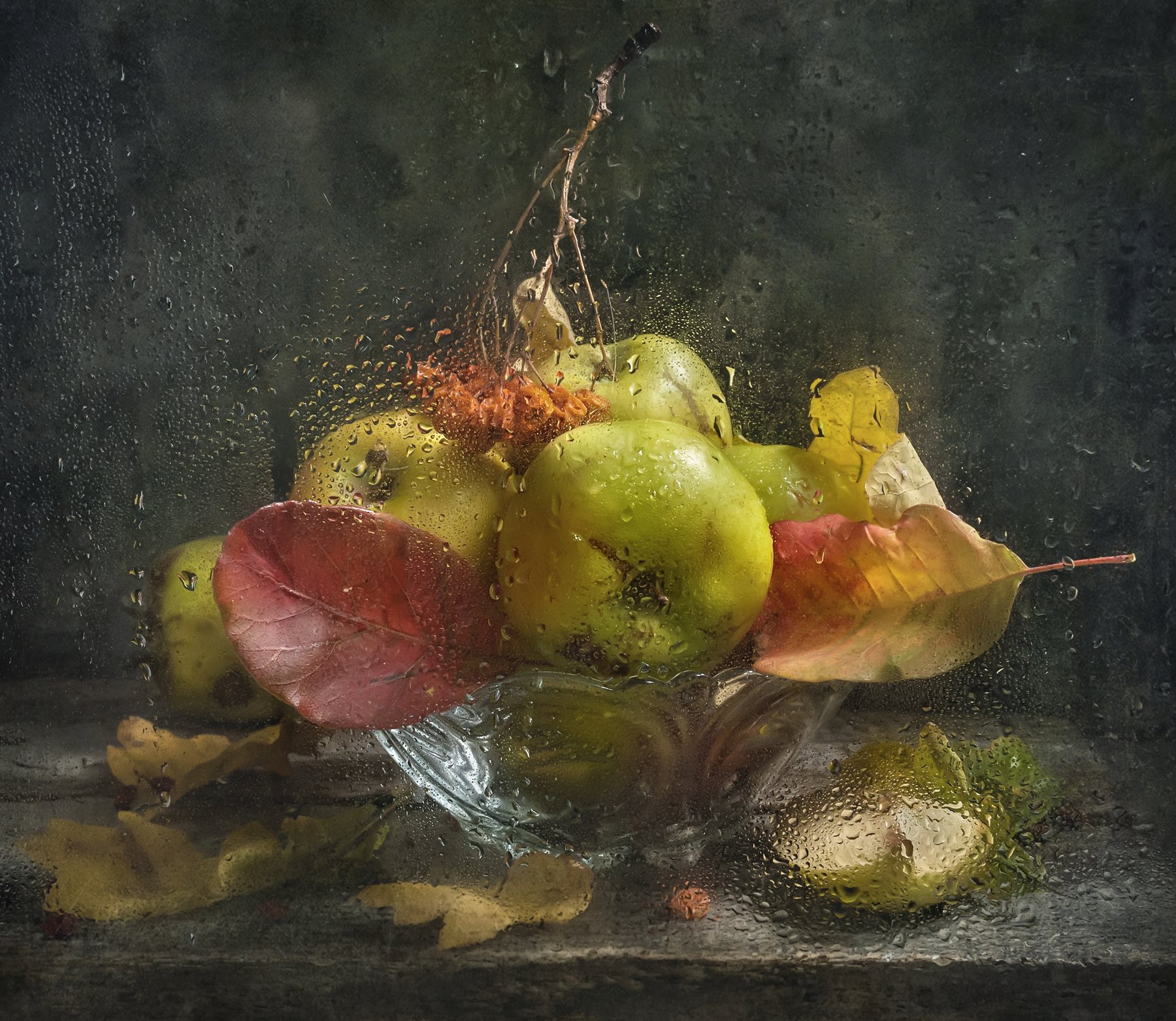 осень,ваза,капли,дождь,яблоки,листья,разноцветные,рябина,стекло, Владимир Володин