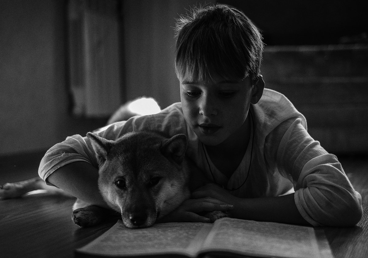 монохром ребенок собака чбфото черно-белое черно белый портрет, Комеров Роман
