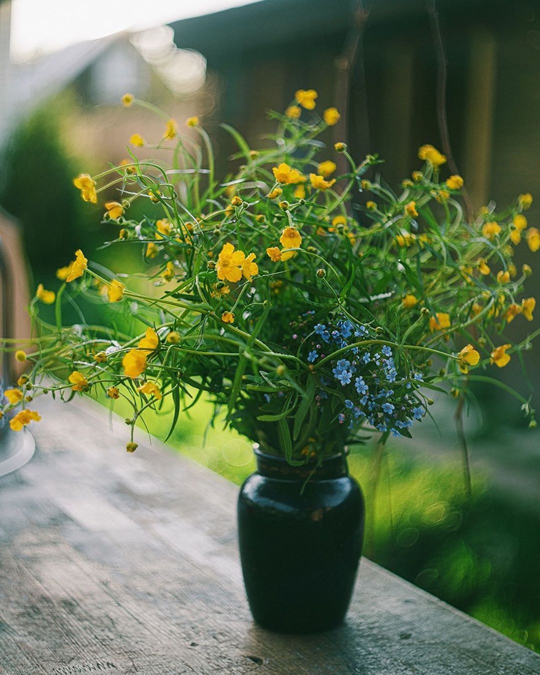 букет, цветы, желтый зеленый, свет, Анастасия Зубкова
