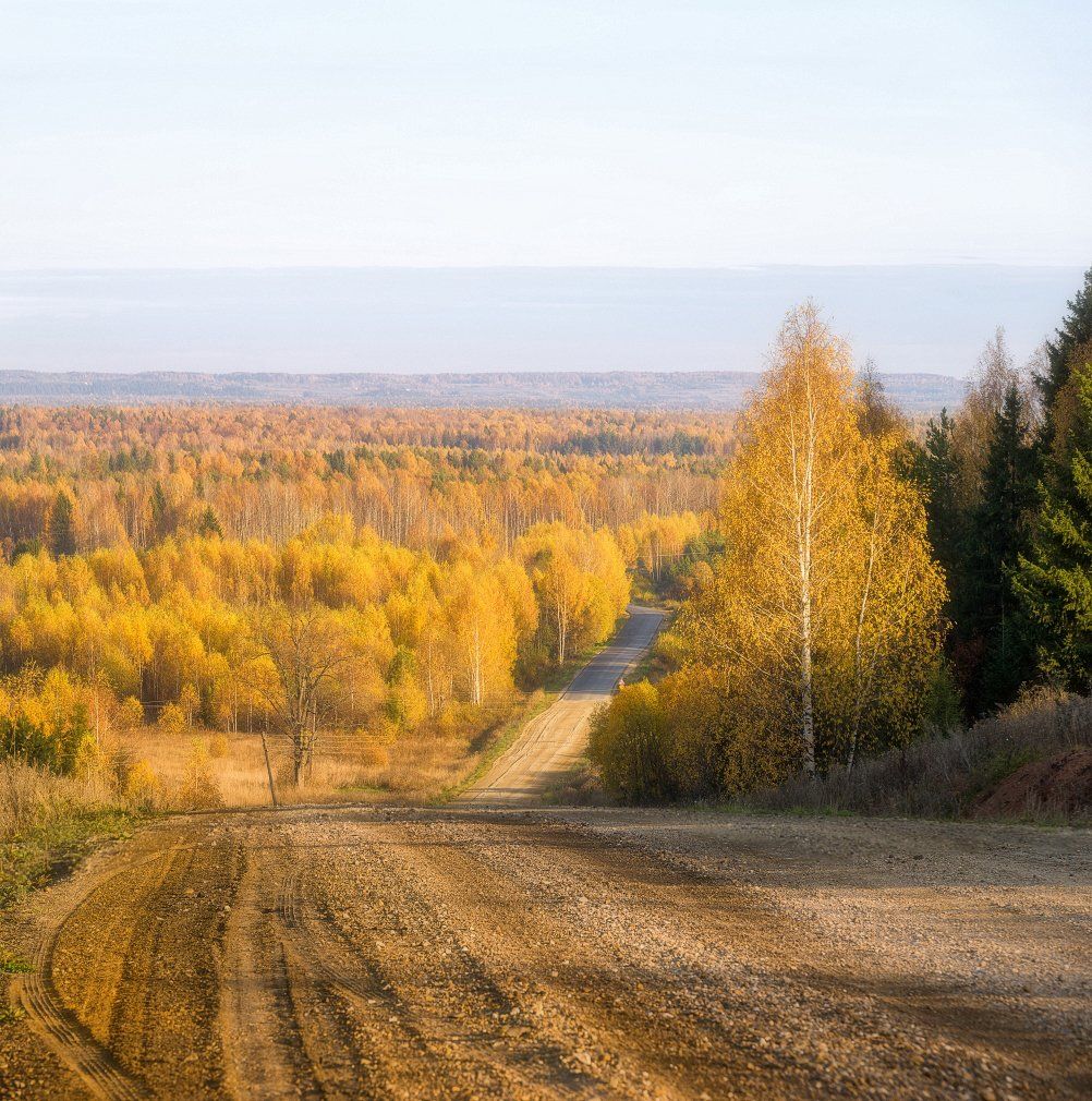 Золотая область. Осень в Кировской области. Фото осени в Кировской области. Осень в Кировский район. Осень Белохолуницкий пруд.