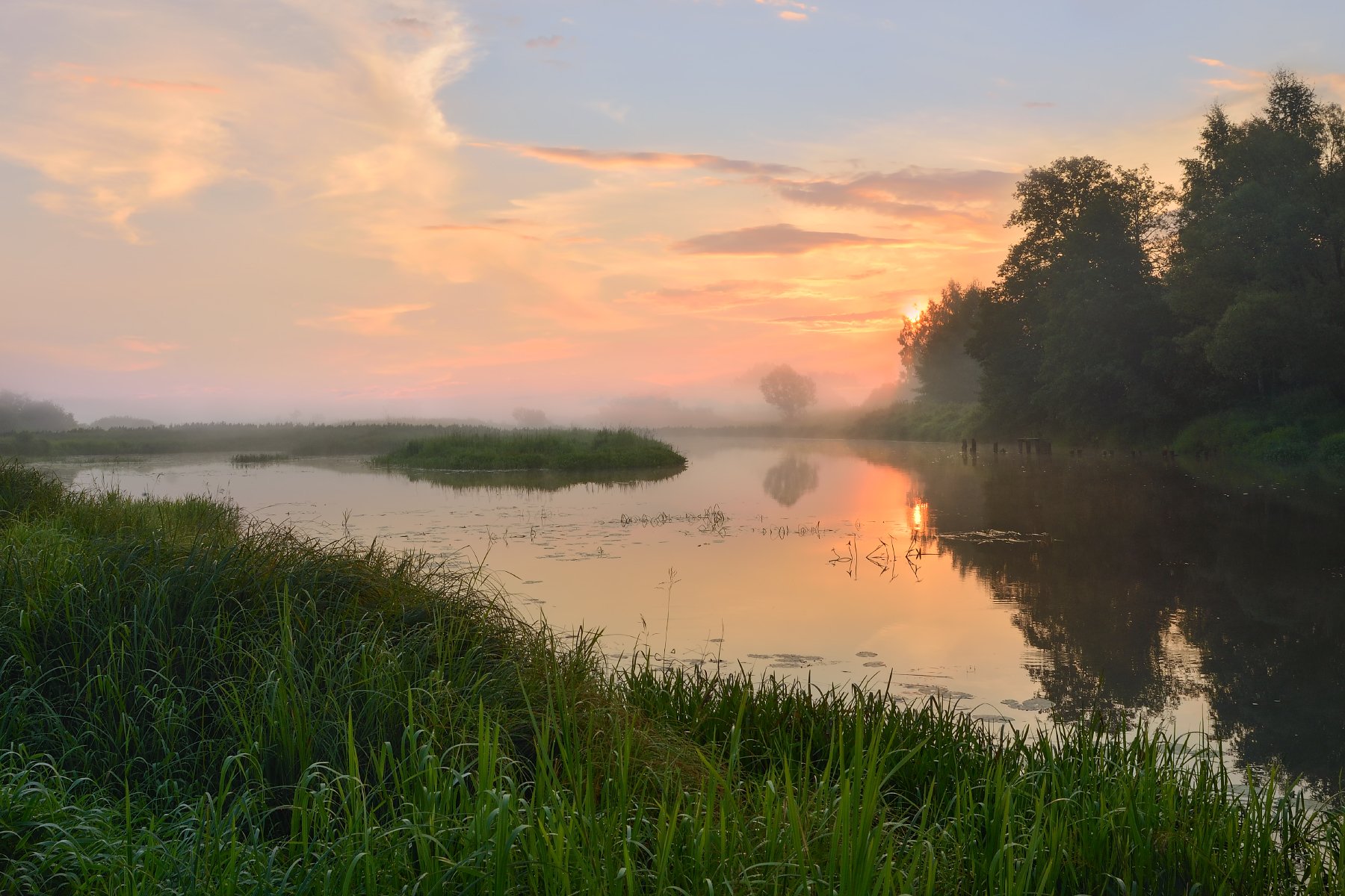 утро,рассвет,река,берег,небо,облака,туман,отражение, Виталий Полуэктов