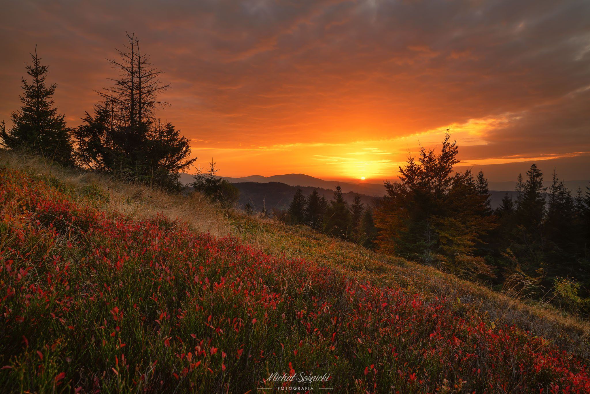 #autumn #nature #landscape #color #sunset #sunrise #pentax #benro, Michał Sośnicki