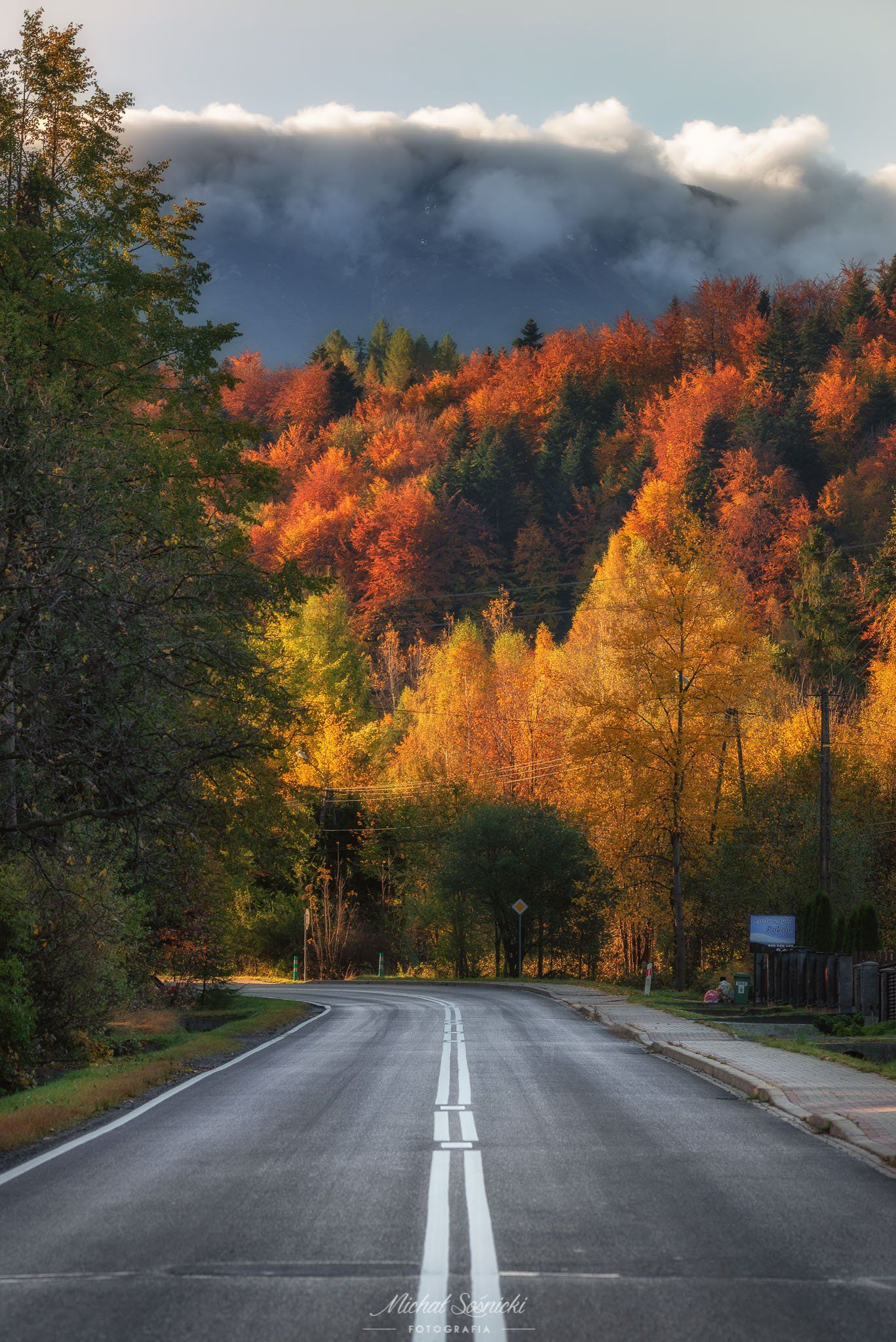 #autumn #nature #landscape #color #sunset #sunrise #pentax #benro #tree #mountains #road, Michał Sośnicki