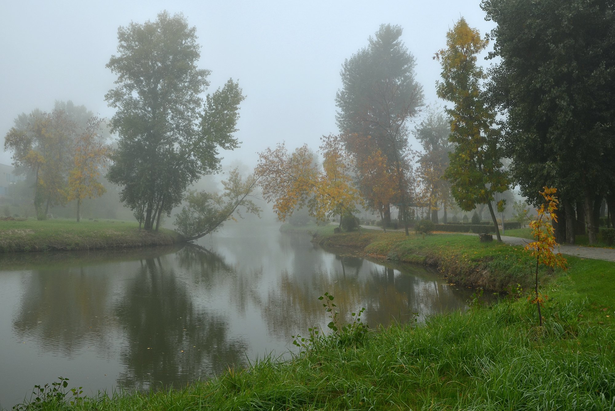 осень, октябрь, туман, парк, листва. отражения, Валерий Наумов