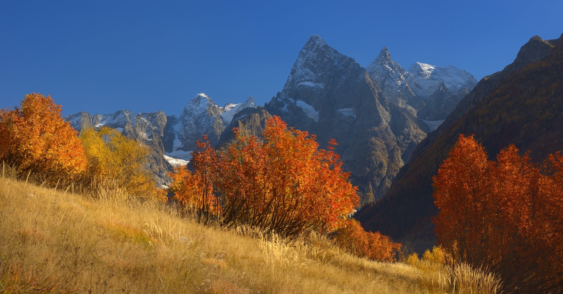 горы осень  гоначхир, Александр Жарников