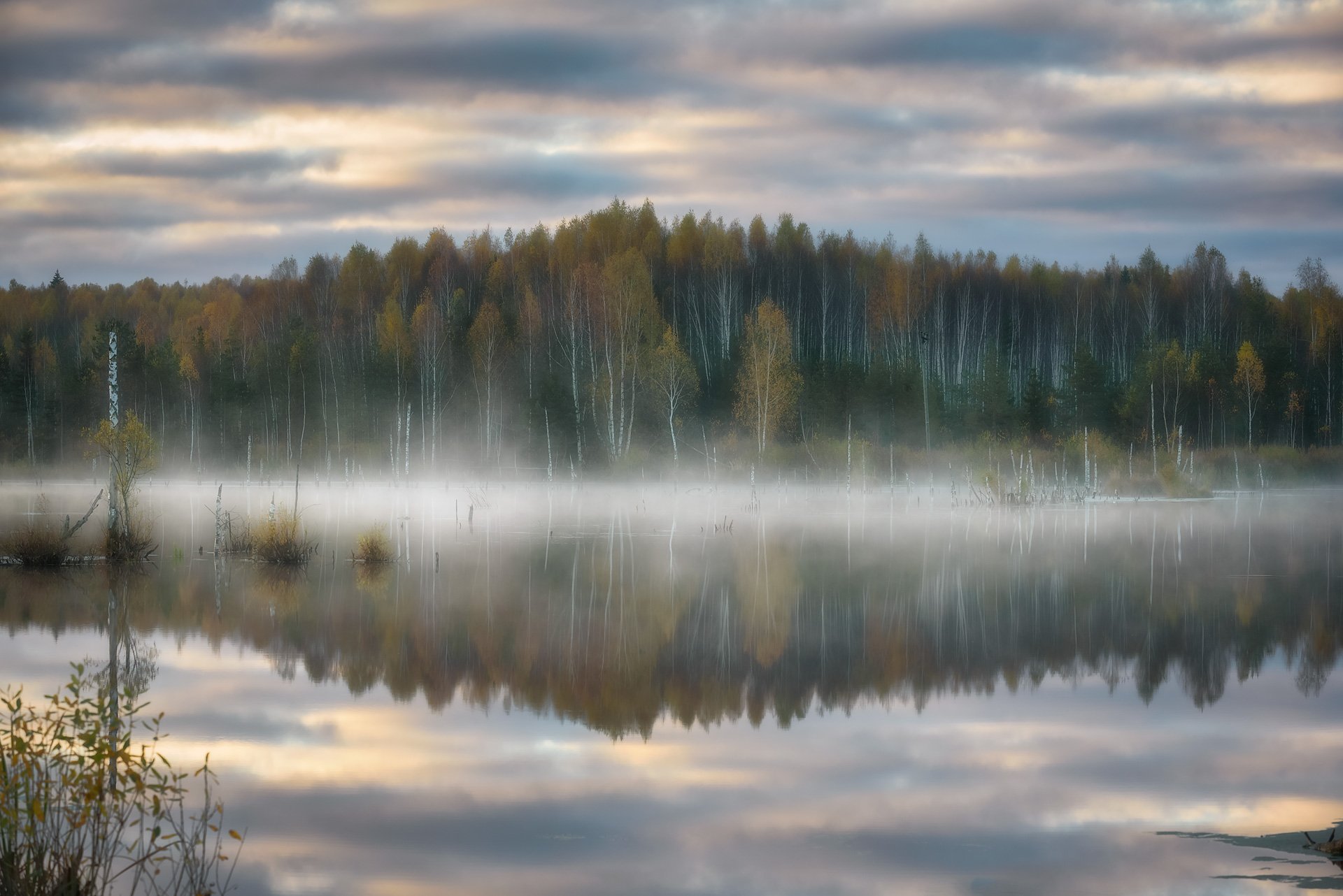 туман, топляк, рассвет, утро, лес, болото, Андрей Баскевич