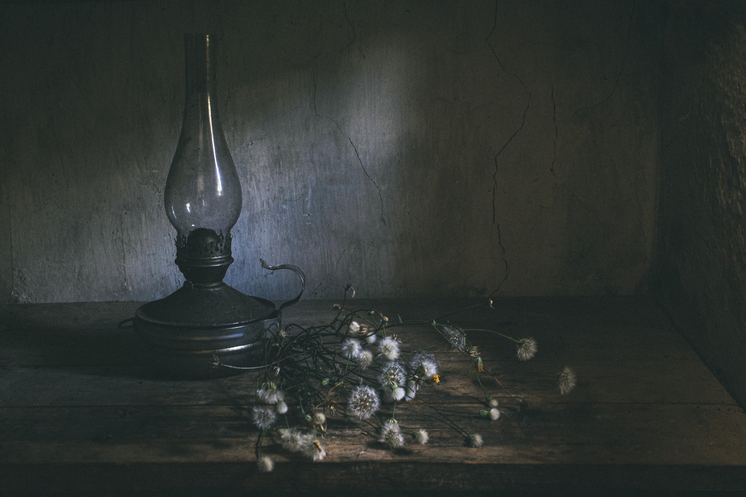 одуванчик, лампа, цветы, Инна Грицик