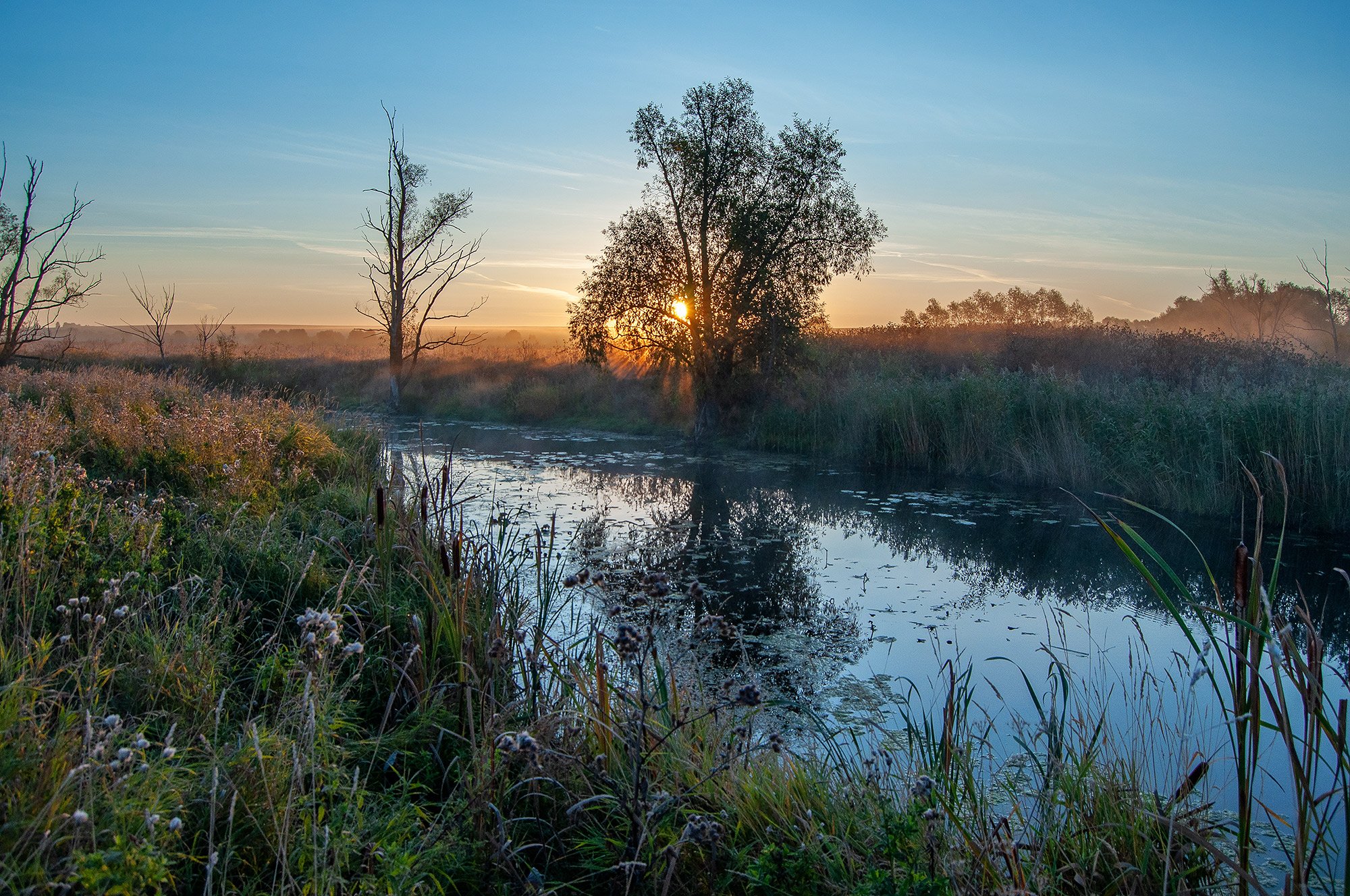 утро, рассвет, река, солнце, Andres Ganenkoff