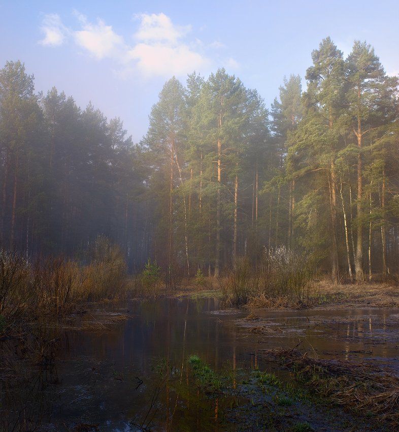 утро, туман, речка, лес, лучи, Дмитрий Алексеев
