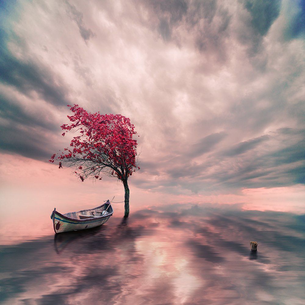 boat, bubble, clouds, daughter, design, drums, floating, ioana, light, manipulation, pastel, photoshop, pipes, psd, read, shadow, smoke, tree, tutorials, water, wood, Caras Ionut