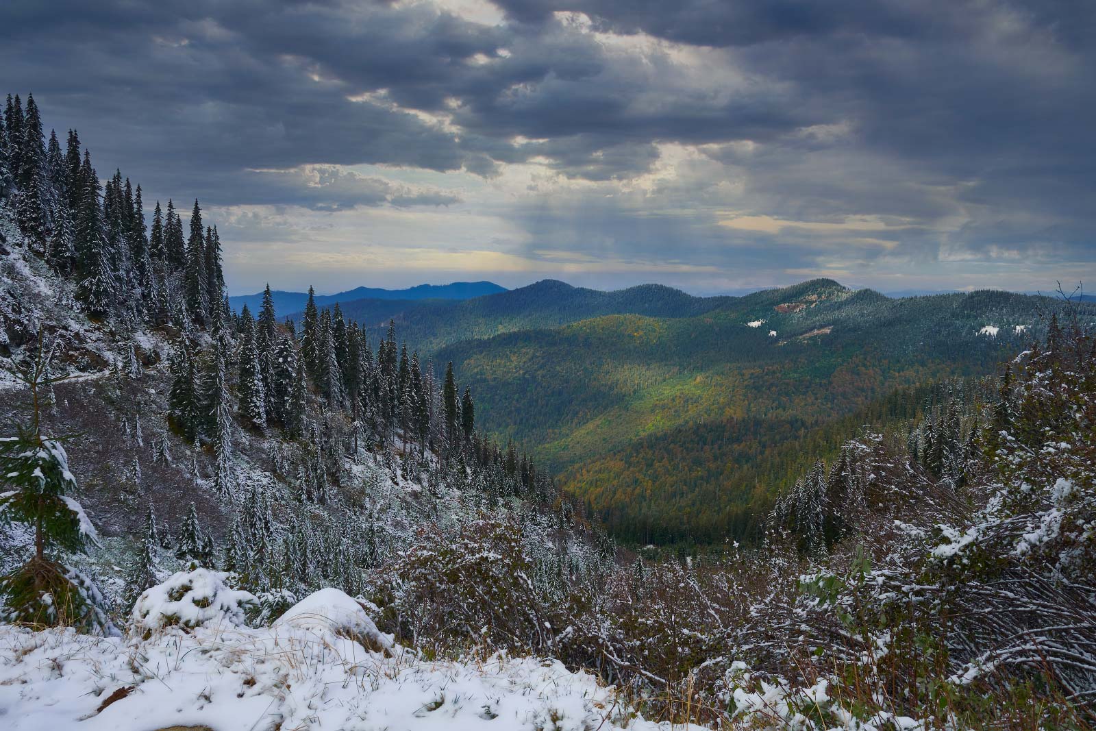 #nature, #туман, #лес, #oсень, #украина, #карпаты, #пейзаж, #закат, #туман, #солнце, #свет, #mountain range, #mountains, #туризм, #лес, #nature, #природа,, Леонид Морозов