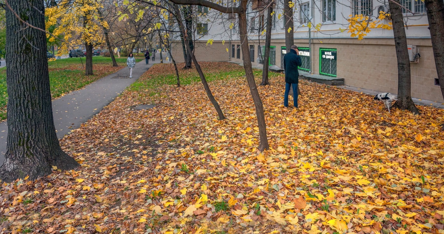 Москва 24 Осенние Фото