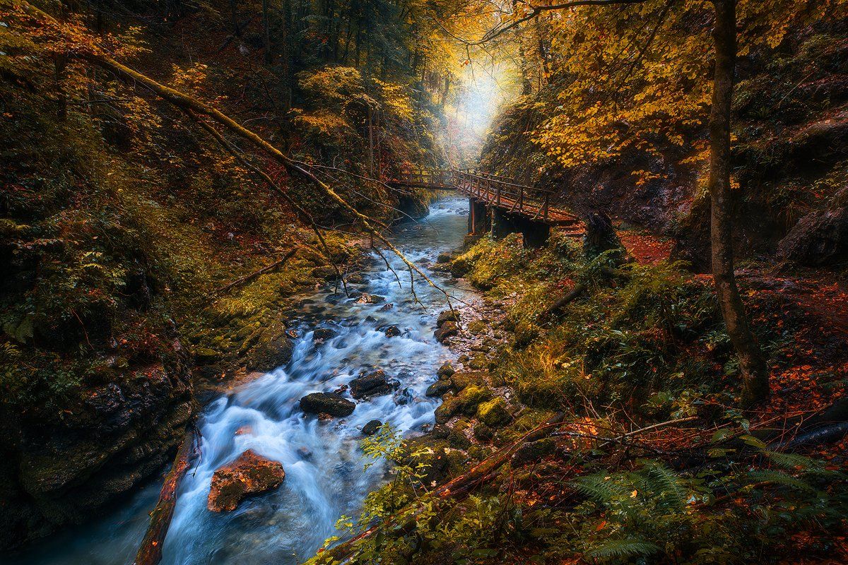 kamacnik, croatia, landscape, autumn, mist, fog, tree, forest, rock, nature , Roberto Pavic