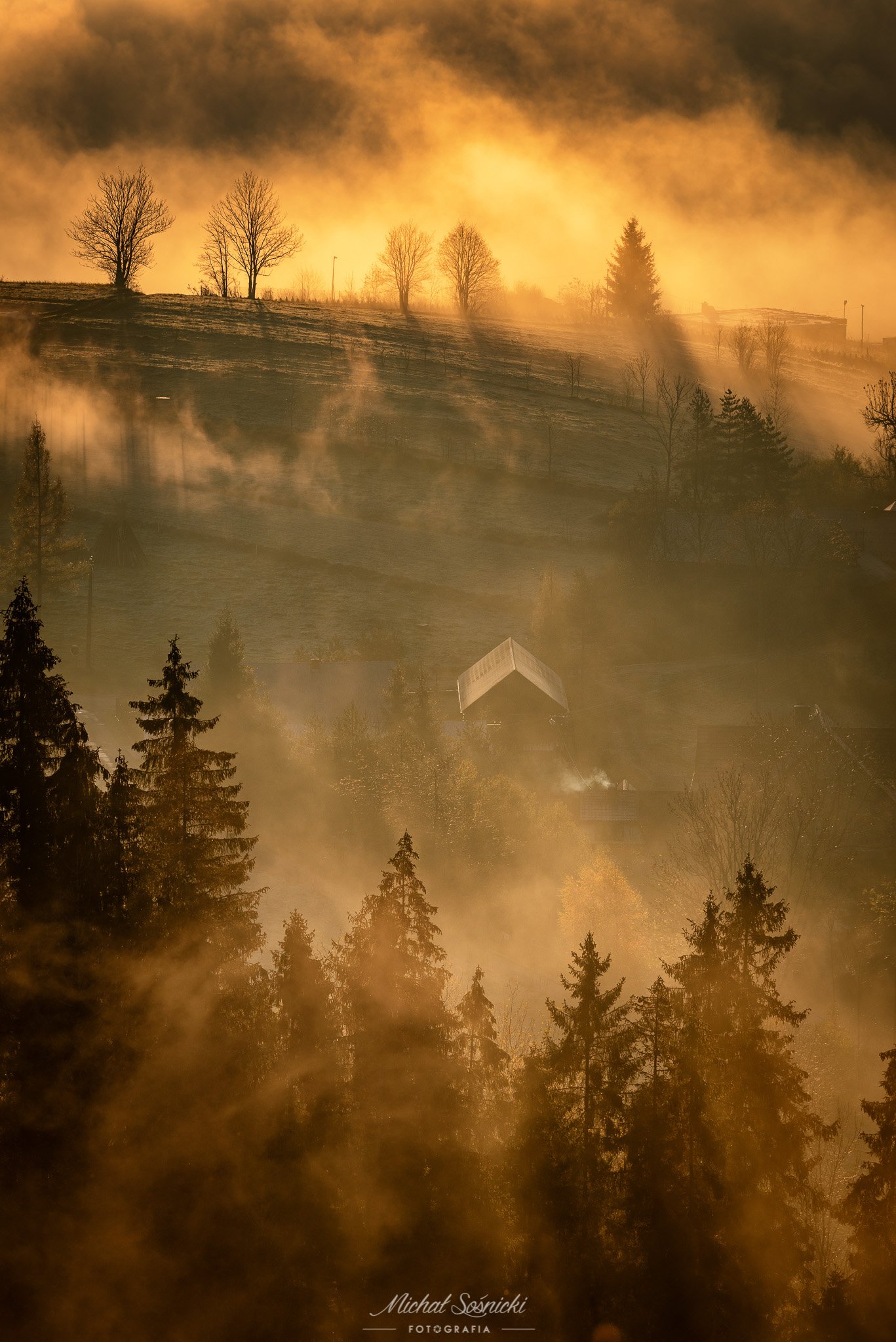 #tree #light #autumn #sunrise #poland #pentax #benro #nature #amazing #foggy, Michał Sośnicki