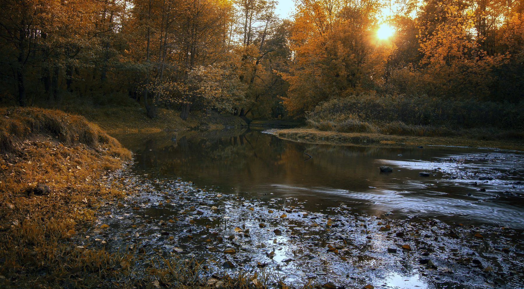 осень,ручей,закат,парк, Павел Ныриков