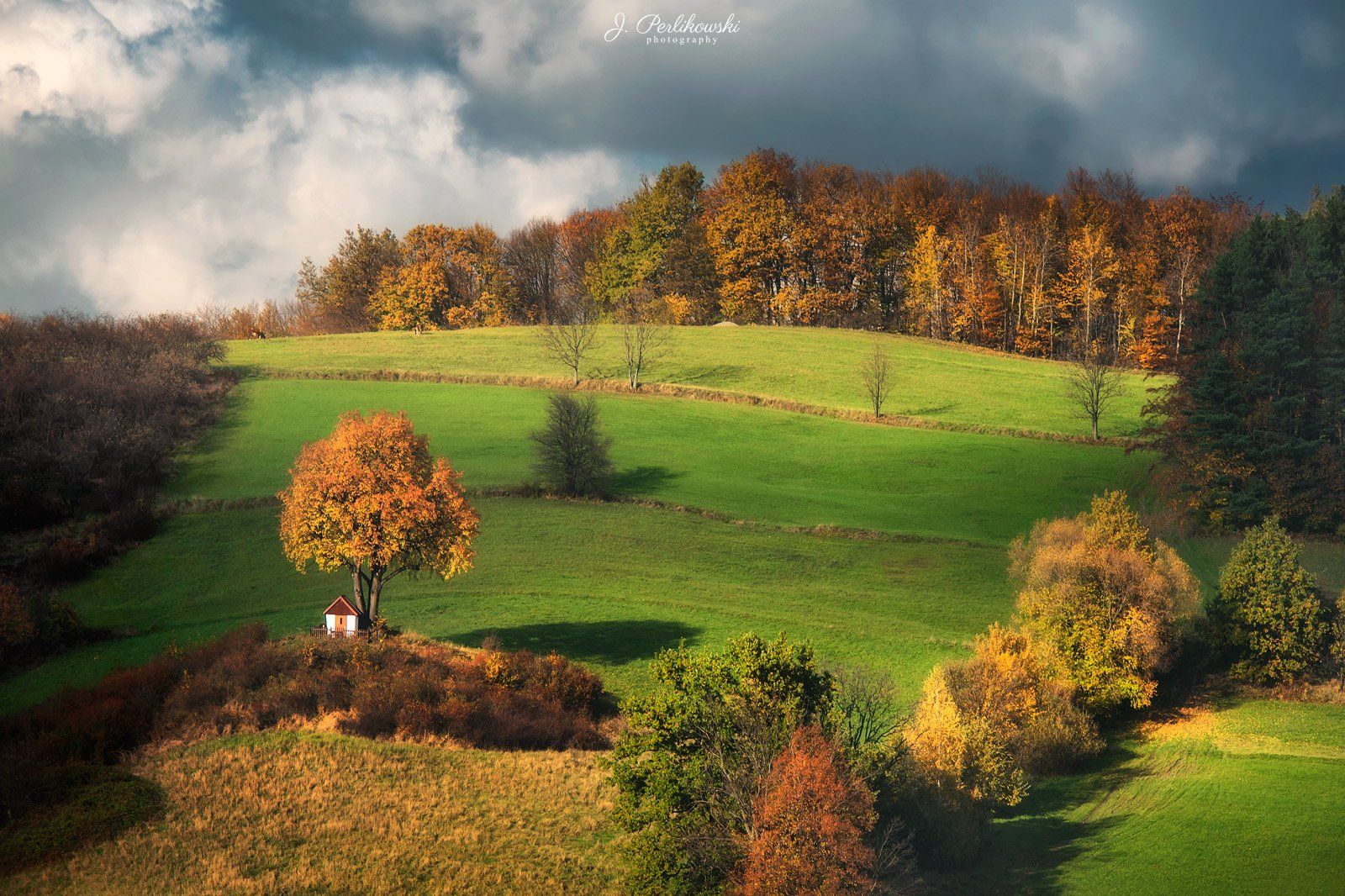 autumn, golden autumn,autumn vibes, colours, lights, contrast, nature, landscape, fields, forest, tree, chapel,, Jakub Perlikowski
