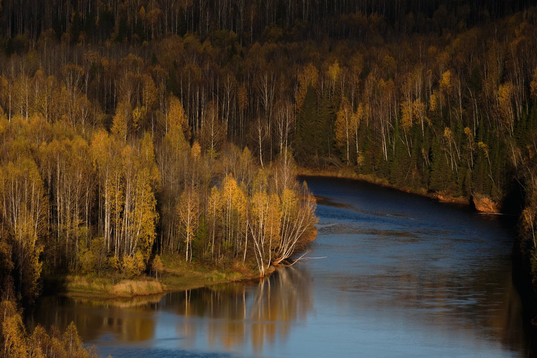 осень, закат, река, лес, Савицкий Ян