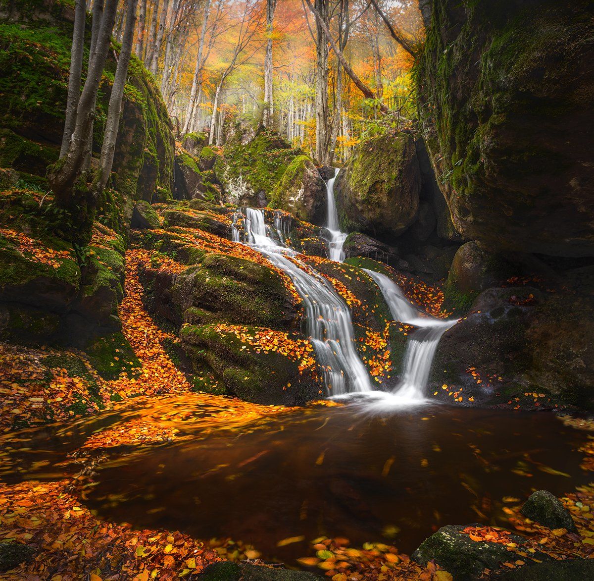 landscape nature scenery forest wood autumn waterfall river mountain staraplanina bulgaria осень лес, Александър Александров